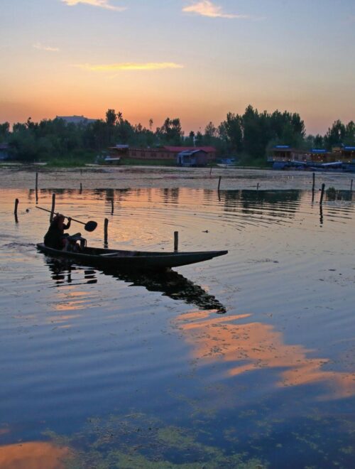 Kashmir